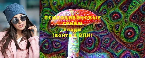 хмурый Бронницы